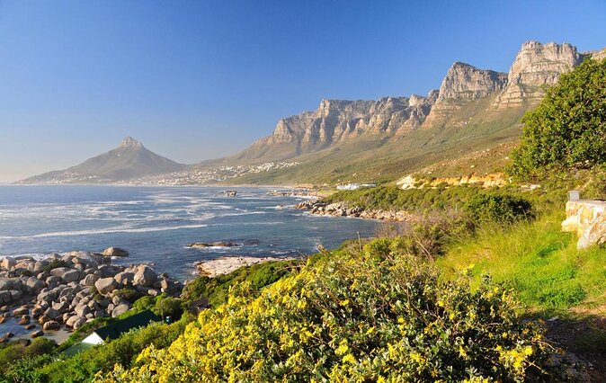 Cape Peninsula Tours - Key points to know before booking