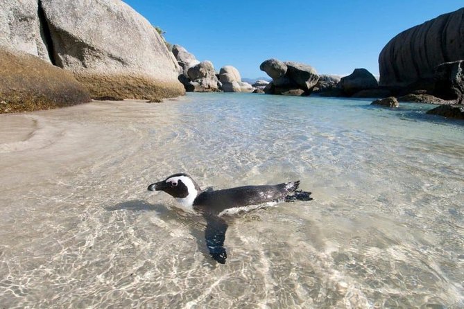 Cape Peninsula Tours - Leaving Cape Town for the peninsula