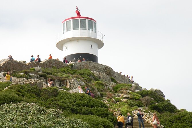 Cape Peninsula Tours - Cape Point and the Cape of Good Hope coast