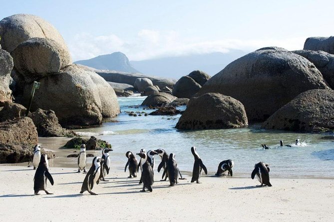 Cape Peninsula Tours - The return route and passing ocean views