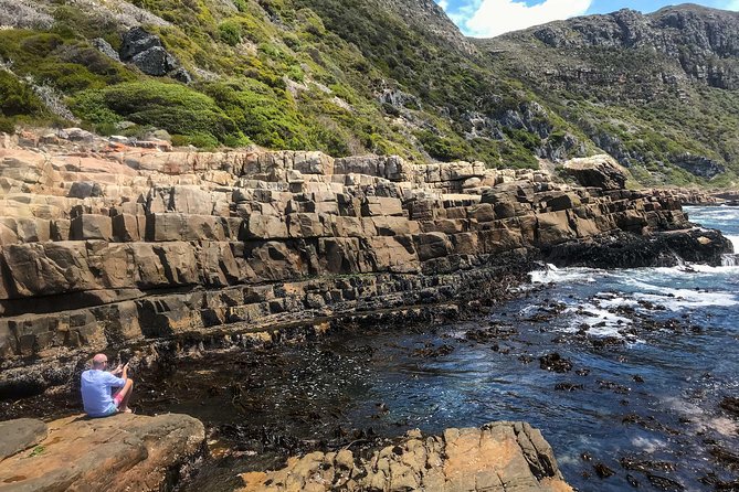 Cape Peninsula with a Marine Biologist - A quieter Cape of Good Hope shoreline