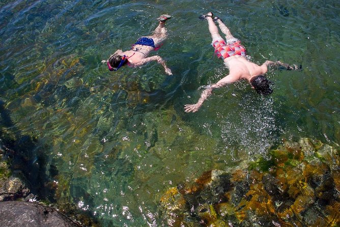 Cape Peninsula with a Marine Biologist - What Justin Blake adds to the day