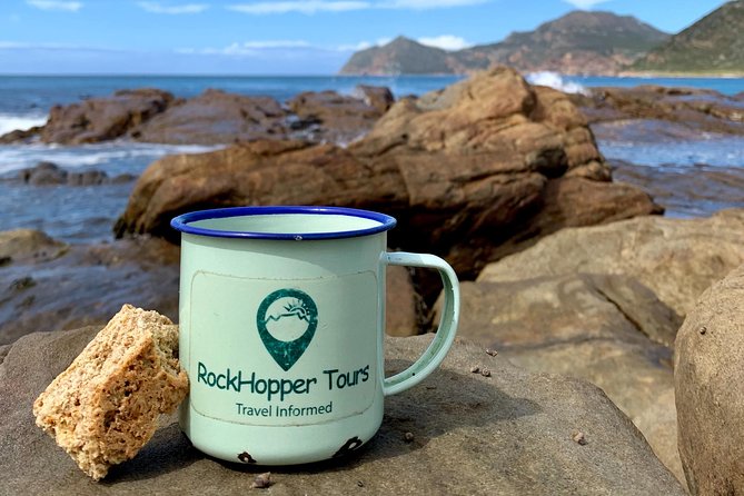 Cape Peninsula with a Marine Biologist - Is the $173.16 price fair?