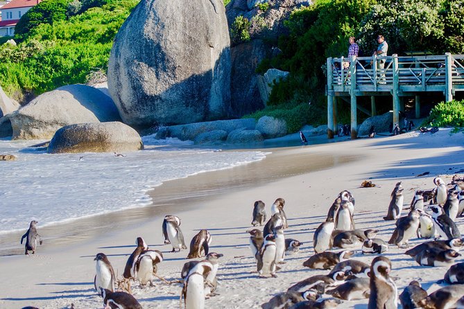 Cape Point and Boulder's Penguins Full Day Tour - Cape Town and Bo-Kaap: a quick opening look