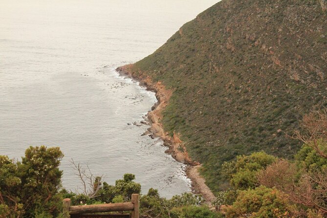 Cape Point and Cape of Good Hope day tour Up to 10 persons - The Atlantic return through the quieter west side