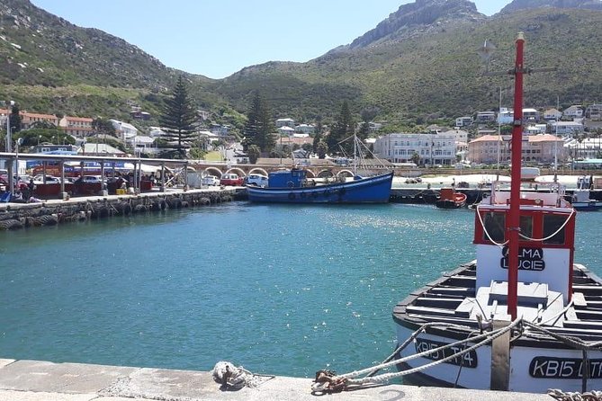 Cape Point, Boulder's Beach in Private Car Entrance Fees Included - Hout Bay gives you a choice