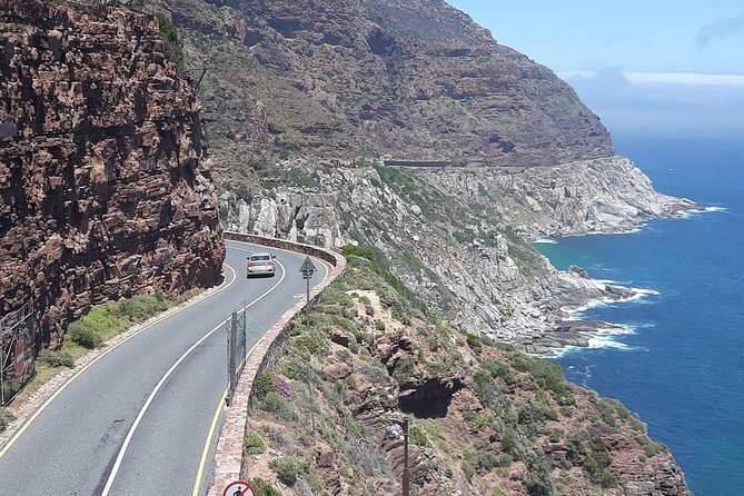 Cape Point, Boulder's Beach in Private Car Entrance Fees Included - Boulders Beach and the penguin colony