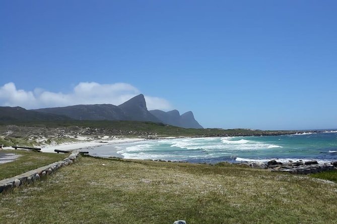 Cape Point, Boulder's Beach in Private Car Entrance Fees Included - Your guide can shape the day