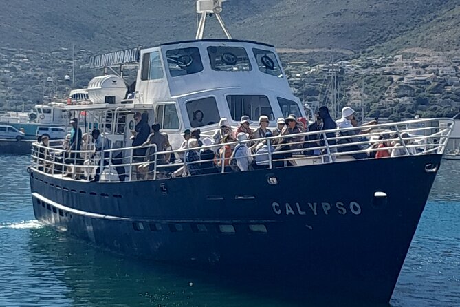 Cape Point Cape Of Good Hope And Penguins Private Tour - Maidens’ Cove and the Atlantic coast