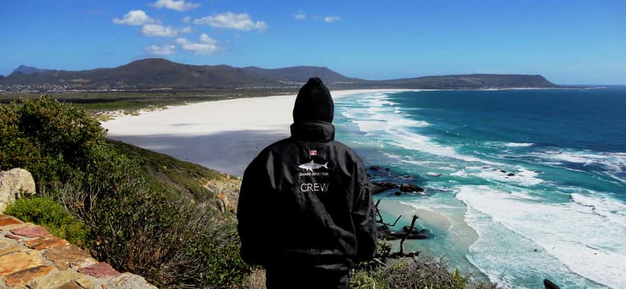 Cape Point Cape of Good Hope, Penguins Private Half day Tour - What the $165 price really includes