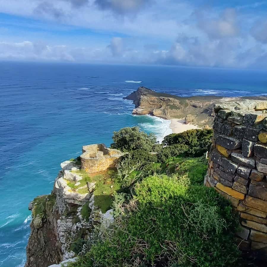 Cape Point Cape of Good Hope, Penguins Private Half day Tour - Cape flora and the value of a good guide