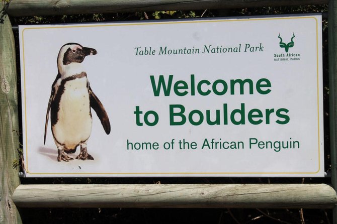Cape Point Explore with Boulder's Penguins Small Group Day Tour - Why this small-group Cape Peninsula day works well