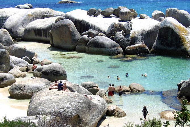 Cape Point Explore with Boulder's Penguins Small Group Day Tour - Boulders Beach makes the penguins optional