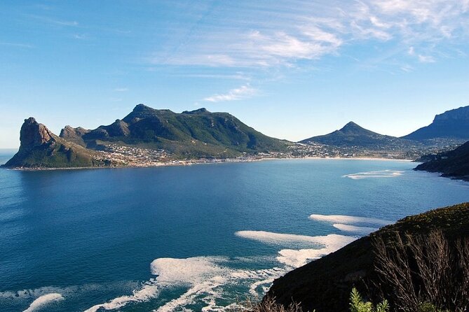 Cape Point Full Day Tour - Boulders Beach brings you close to African penguins
