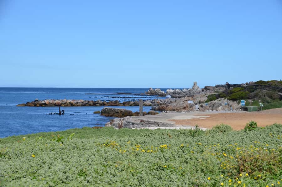 Cape Point Full-Day Tour From Cape Town - Simons Town, Fish Hoek, and Muizenberg
