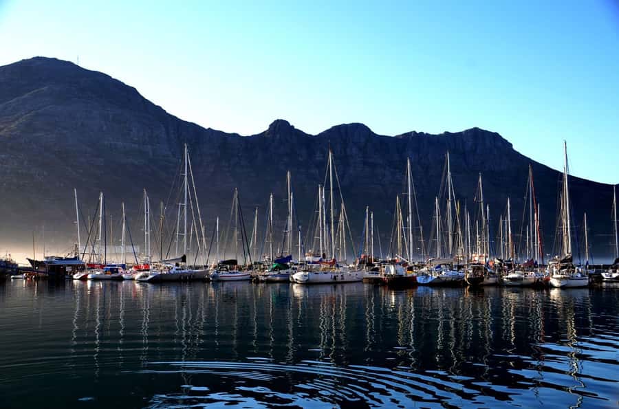 Cape Point Full-Day Tour From Cape Town - Kirstenbosch at the end of a long day