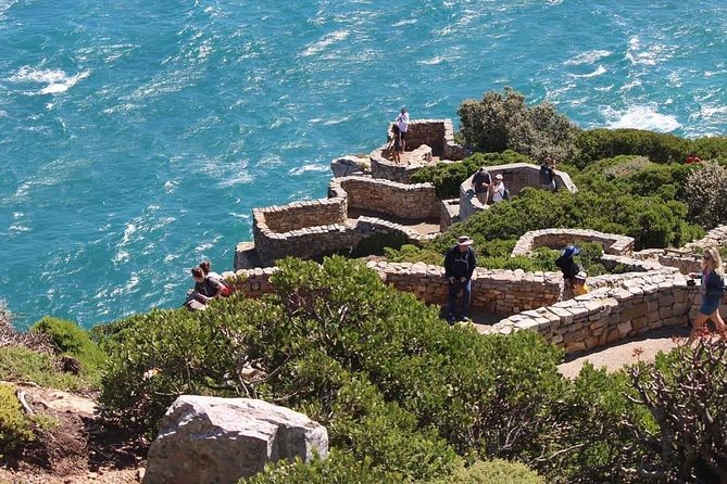 Cape Point & Penguin Explorer Tour - Three major Cape Peninsula sights in one day