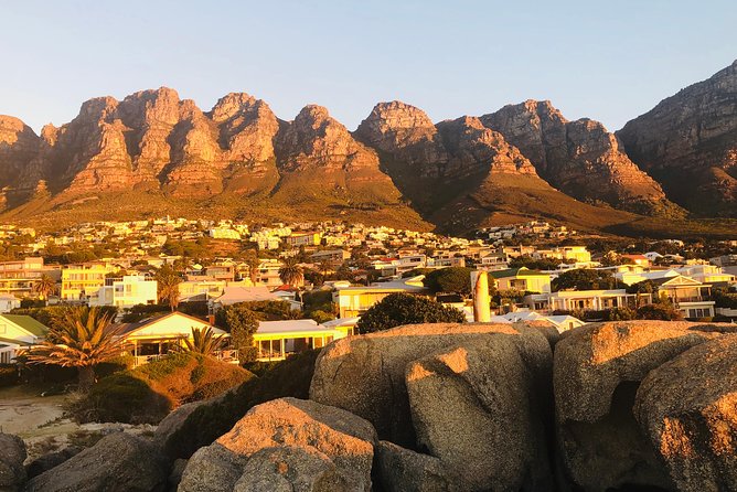 Cape Point Penguin Tour - Why this private eight-hour route works