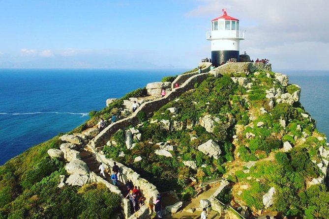 Cape Point Penguin Tour - Hout Bay adds harbor views and optional seals