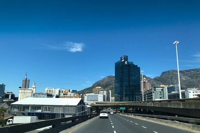 Cape Point Penguin Tour - Chapman’s Peak turns the road into an attraction
