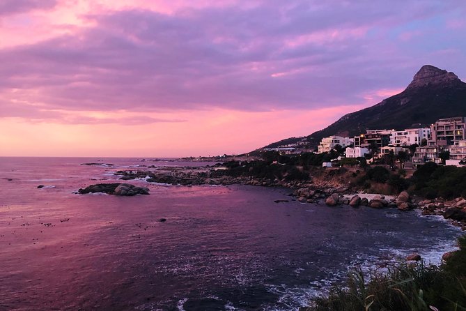 Cape Point Penguin Tour - Boulders Beach is the wildlife centerpiece