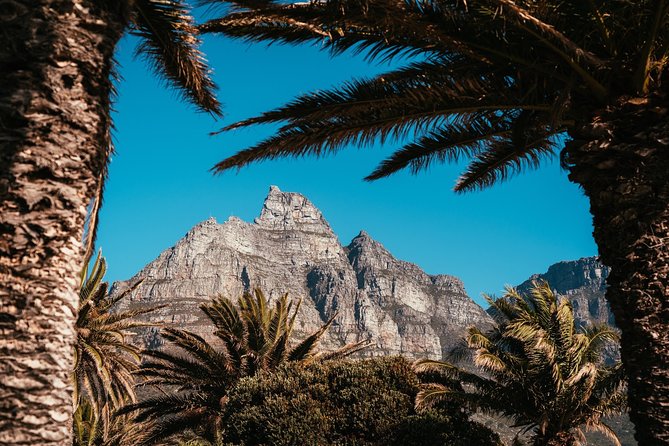 Cape Point Penguin Tour - Cape Point and the Cape of Good Hope complete the outward route