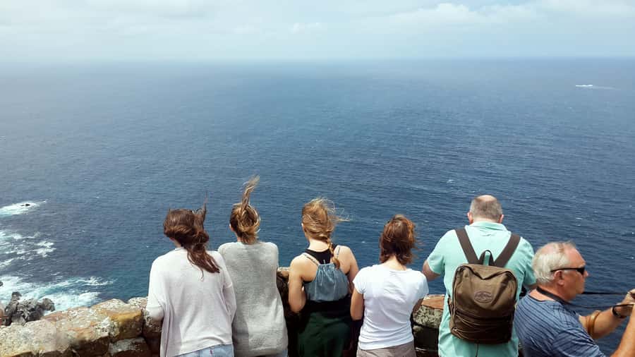 Cape Point & Penguins: Private Cape Peninsula Tour. - Why a private Cape Peninsula day makes sense