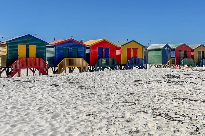 Cape Point, Penguins & Wine Tasting In Constantia Full Day Tour - Simon’s Town and Boulders Beach Penguins