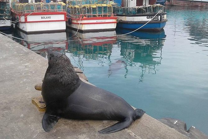 Cape Point Peninsula Tour (Cape To Grape Wine Tours) - Simon’s Town and a short history stop