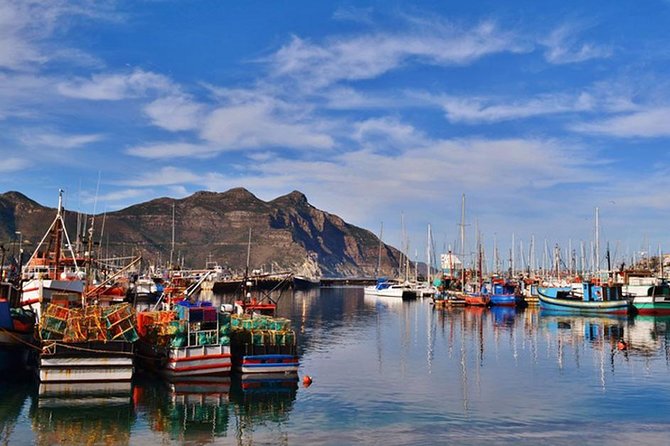 Cape Point Peninsula Tour (Cape To Grape Wine Tours) - Scarborough and Noordhoek by scenic drive