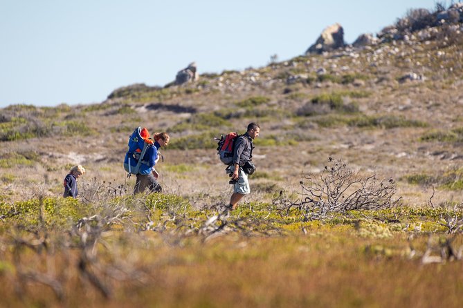 Cape Point Private Nature Tour & Hike - A private day across the Cape Peninsula