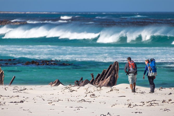 Cape Point Private Nature Tour & Hike - The Cape of Good Hope hike: fynbos and larger wildlife