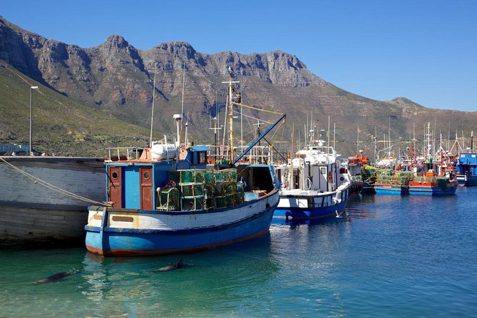 Cape Point Sightseeing Tour including Cape of Good Hope full day from Cape Town - Why this Cape Peninsula day trip works