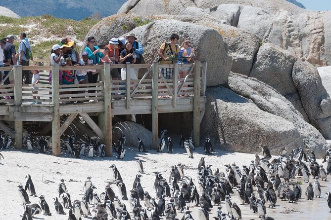 Cape Point Sightseeing Tour including Cape of Good Hope full day from Cape Town - Chapman’s Peak Drive and Atlantic coast views