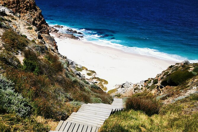 Cape Point Xplorer - What the Cape Point Xplorer day is really like