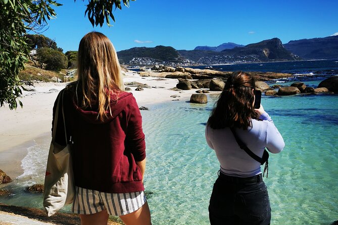 Cape Point Xplorer - Boulders Beach: the African penguin highlight