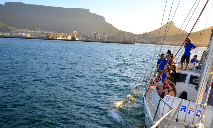 Cape Town: 1-Hour Pre-Sunset Champagne Cruise - Marine life is a bonus, not the main event