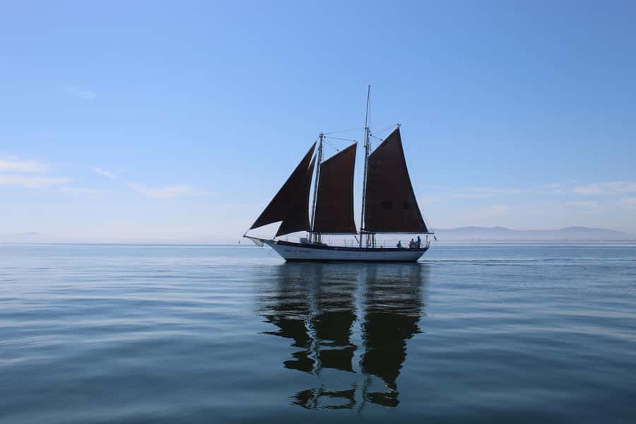 Cape Town: 1 Hour Table Bay Sailing Tour - Key points to know before sailing