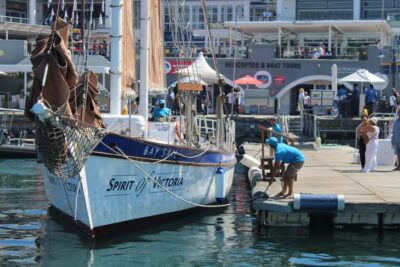 1 Hour Table Bay Sailing Tour