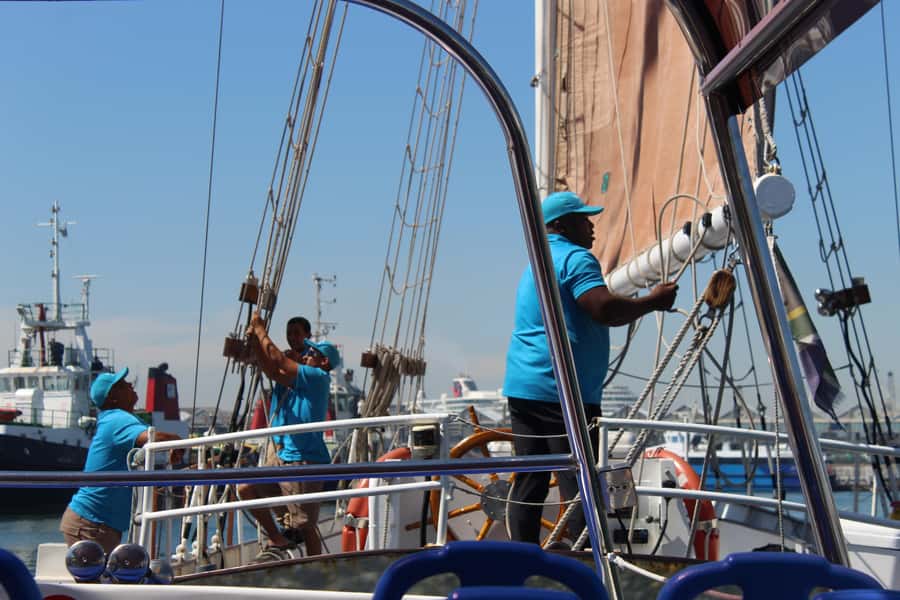 Cape Town: 1 Hour Table Bay Sailing Tour - Granger Bay and the sheltered return