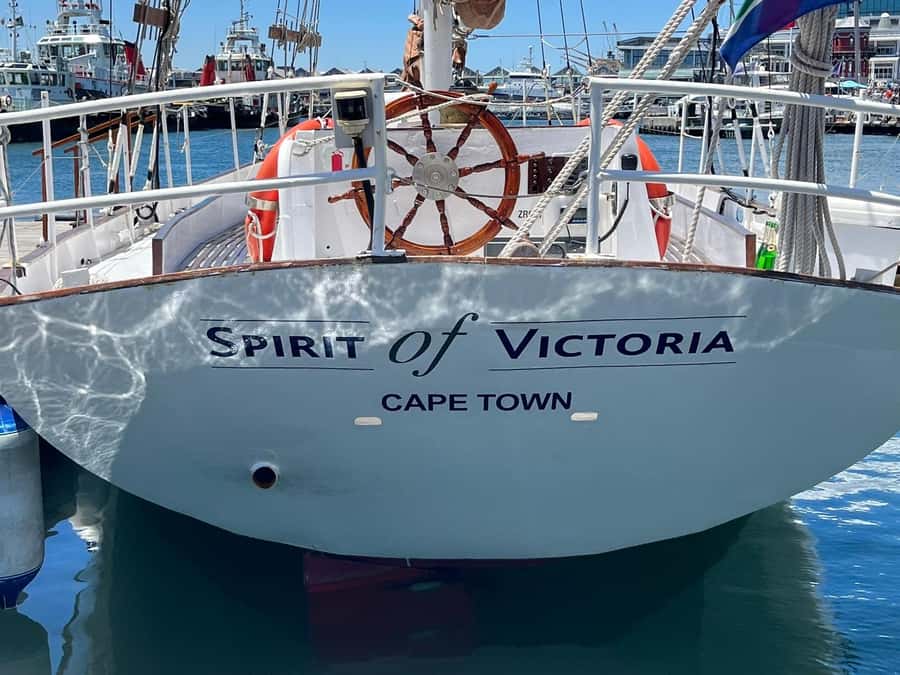 Cape Town: 1 Hour Table Bay Sailing Tour - Wildlife sightings are a bonus, not the main event