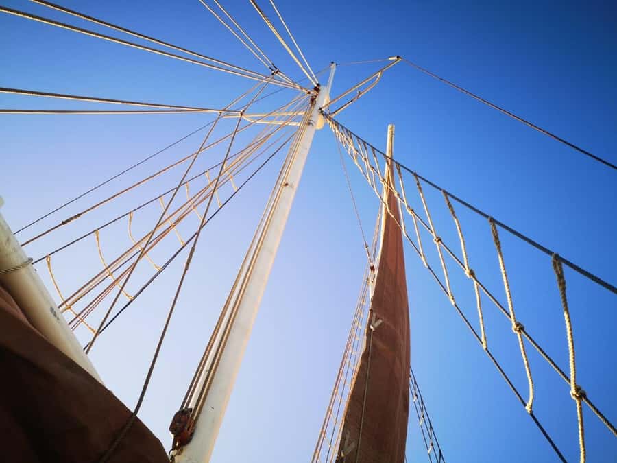 Cape Town: 1 Hour Table Bay Sailing Tour - Practical tips for making the hour count