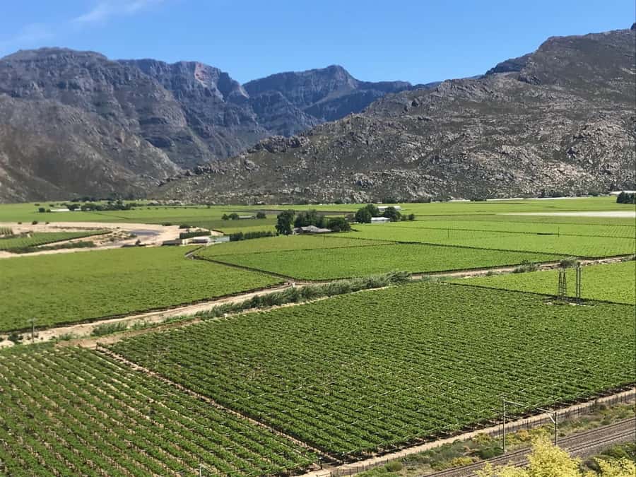 Cape Town: 15 Wine Tasting & Wildlife Small Group Tour - Is this Cape Town wine tour good value at $112?