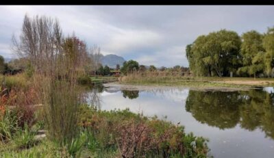 15 Wine Tasting & Wildlife Small Group Tour