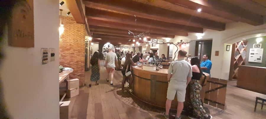 Cape Town: 15 Wine Tasting & Wildlife Small Group Tour - Stellenbosch, oak-lined streets, and Cape Dutch charm