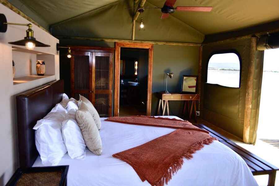 Cape Town: 2-Day Wildlife Tour with Safaris and Luxury Stay - Who should book this safari?