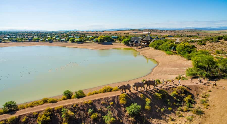 Cape Town: 2-Day Wildlife Tour with Safaris and Luxury Stay - Is a two-day safari from Cape Town enough?
