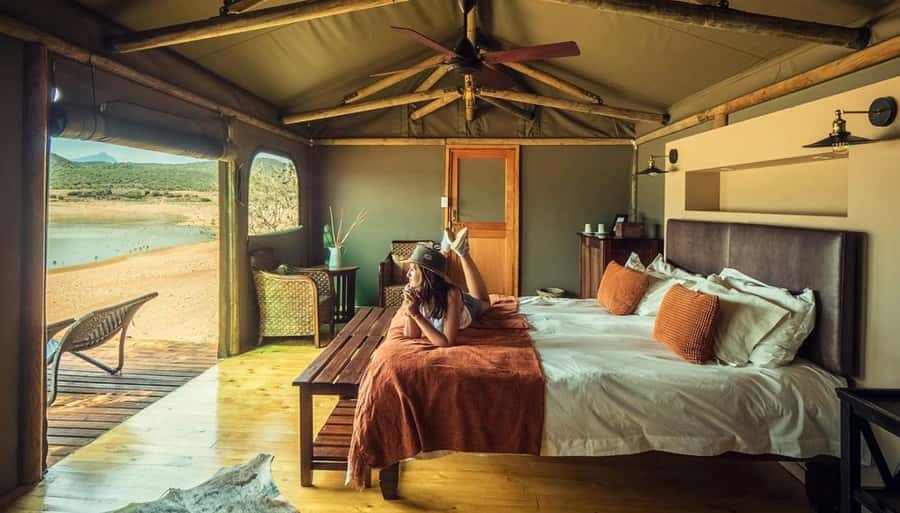 Cape Town: 2-Day Wildlife Tour with Safaris and Luxury Stay - Buffelsdrift Lodge: the night that makes the trip special