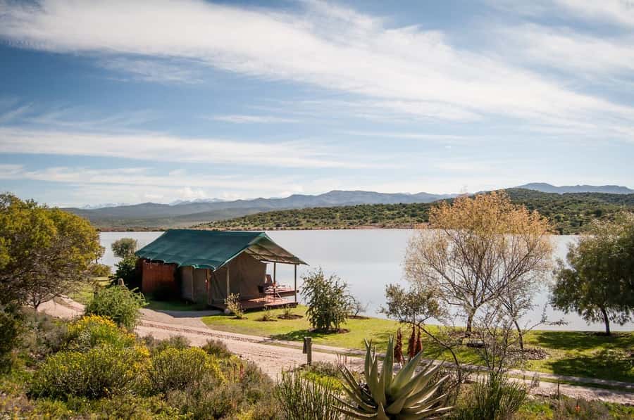 Cape Town: 2-Day Wildlife Tour with Safaris and Luxury Stay - Guides, vehicles, and group size
