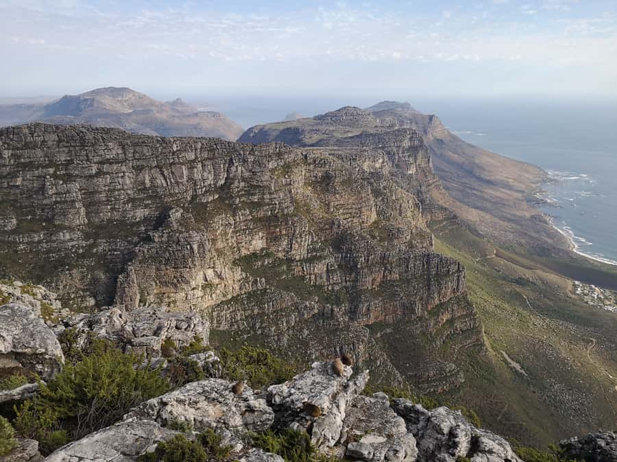 Cape Town: 3-Hour Table Mountain Hike via Platteklip Gorge - What $112 buys you